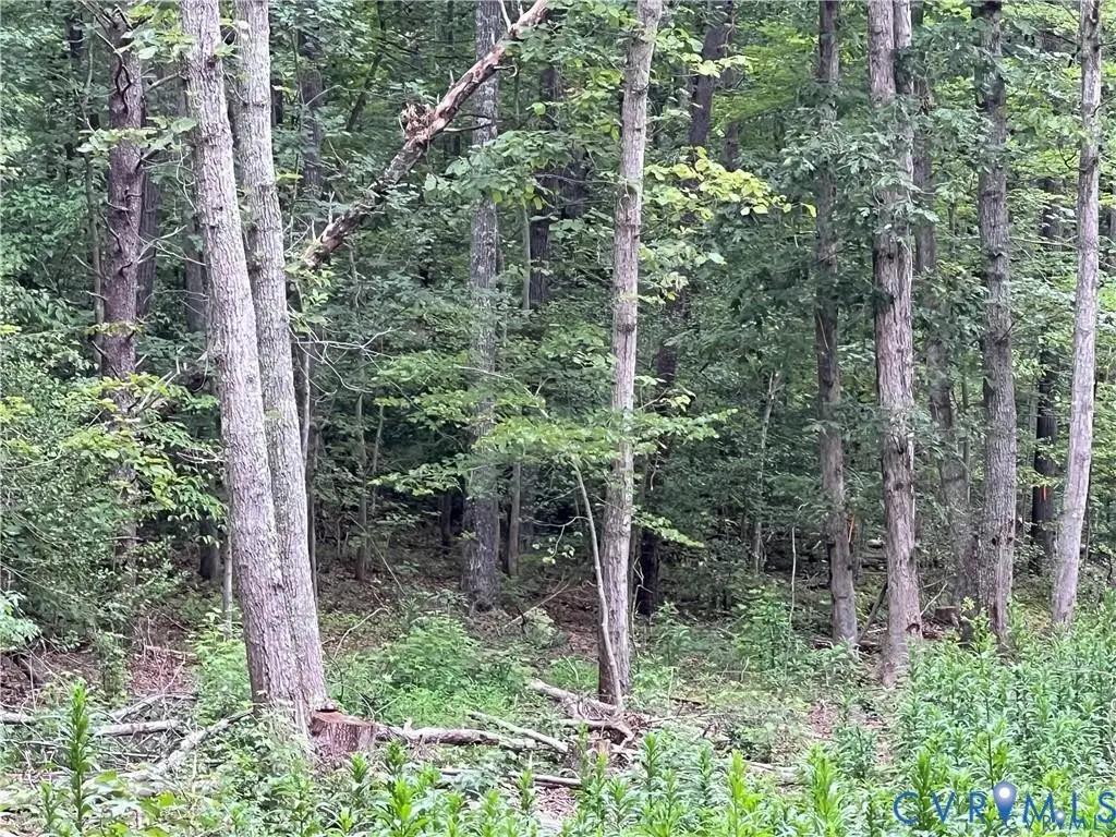 3850 Three Chopt Road, Gum Spring, VA 23065 - #1