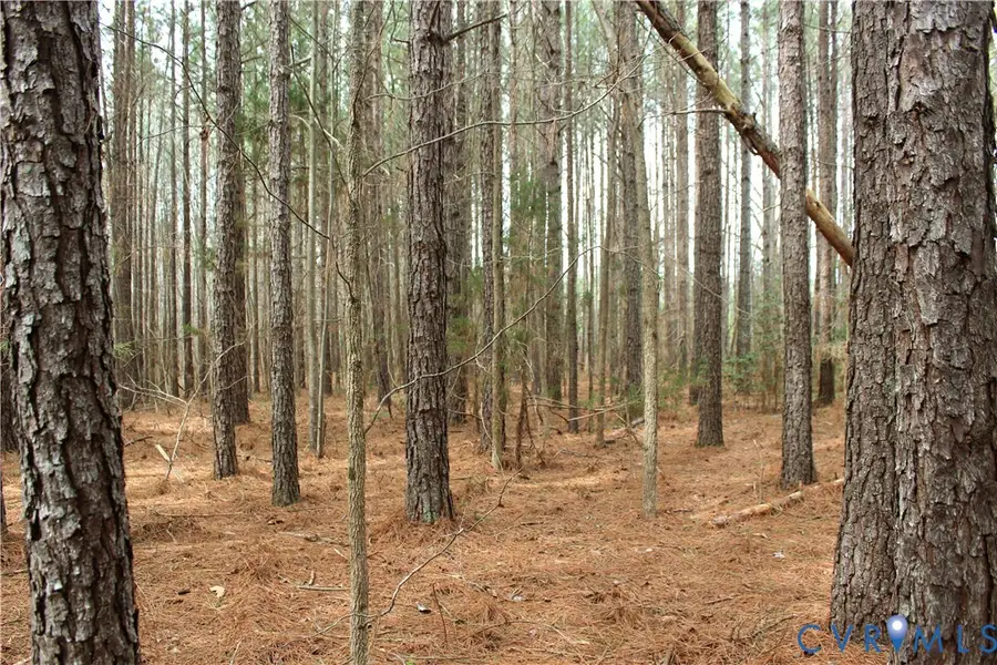 TBD Greentown Drive, Lawrenceville, VA 23868 - #3