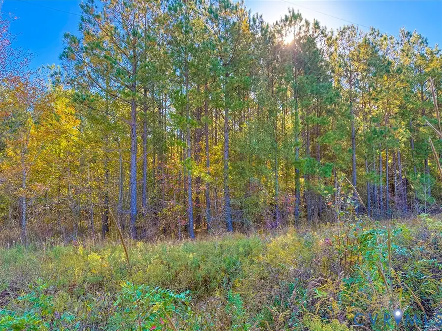 0 Richmond Road, Amelia Court House, VA 23002 - #3