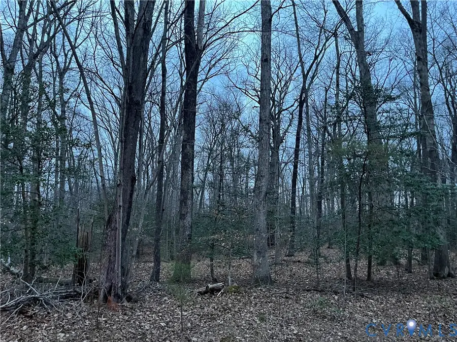 Lot 102 Portobago Bay Trail, Port Royal, VA 22535 - #2