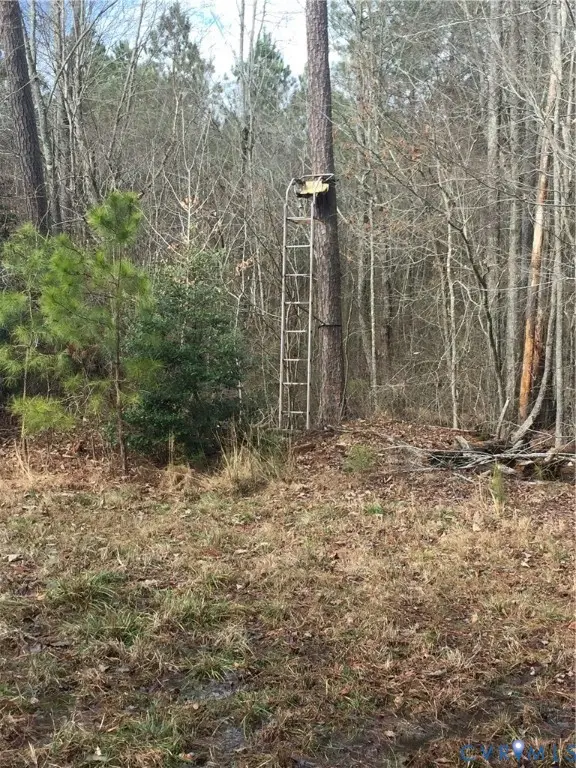 4101 Charles City Road, Henrico, VA 23231 - #1