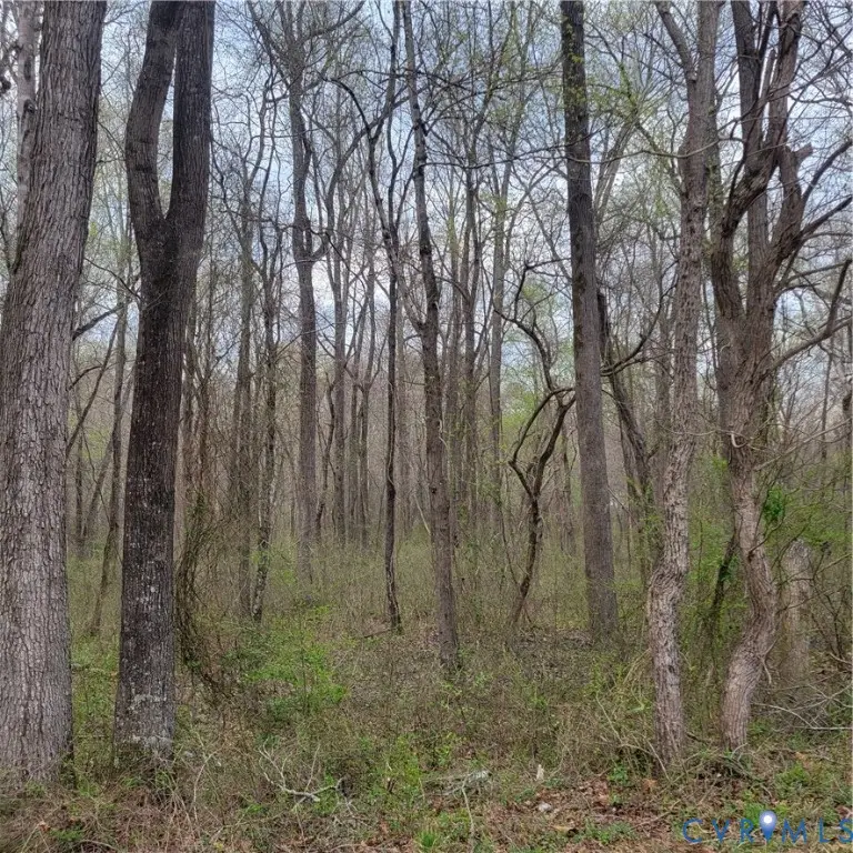 11121 Coalboro Road, Chesterfield, VA 23838 - #3