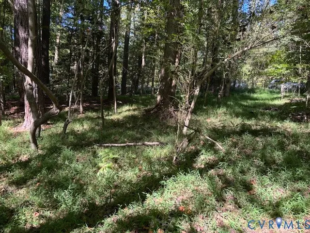 4655 John Tyler Hwy, Williamsburg, VA 23185 - #2