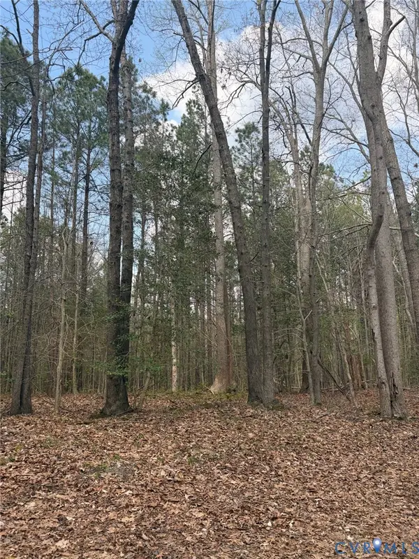 0 Richmond Road, Amelia, VA 23002