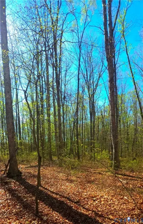 13476 Post Oak Road, Spotsylvania, VA 22551 - #3