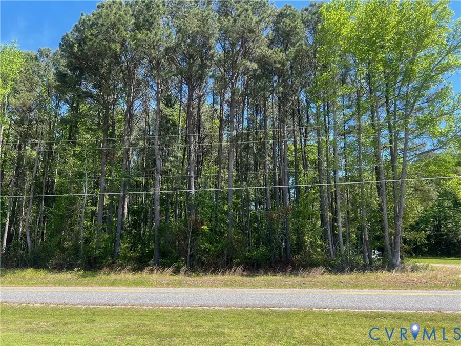 Williams Tract 8 Fleets Bay Road, White Stone, VA 22578 - #2