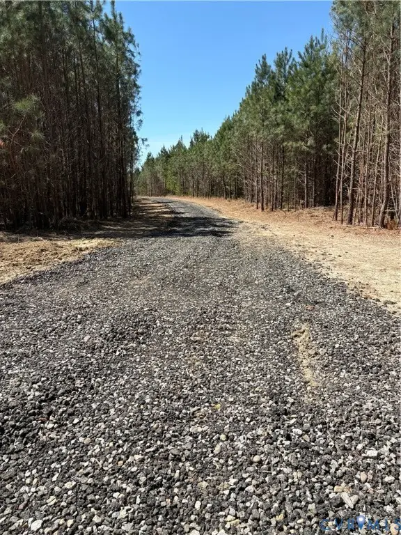 00 Mahixon Road, Manquin, VA 23106 - #3