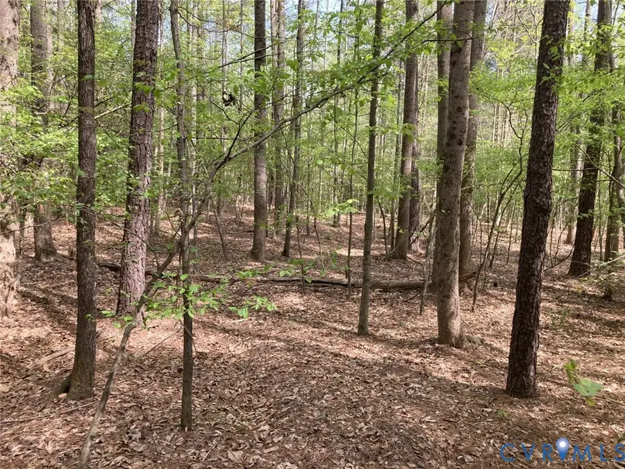 0 Ballsville Road, Powhatan, VA 23139 - #2