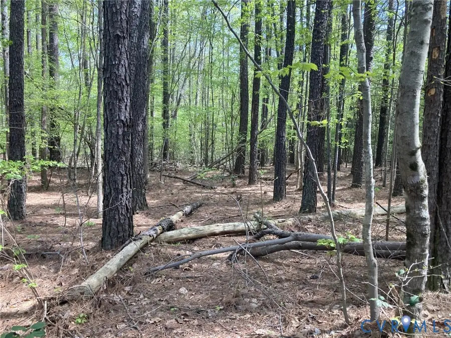 0 Ballsville Road, Powhatan, VA 23139 - #3