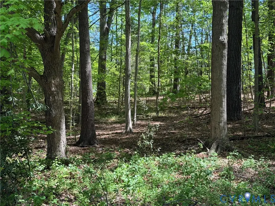 00 S West Ave, Blackstone, VA 23824 - #3