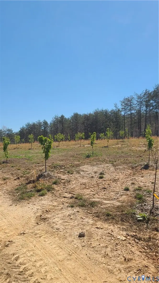 0 Henlsey Road, Mineral, VA 23117 - #3