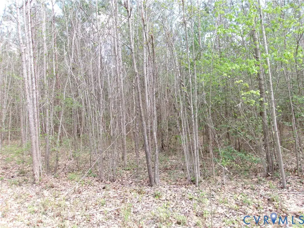 69-(6)-2 Lew Jones, Dewitt, VA 23840 - #1