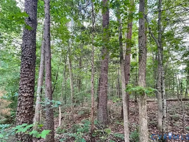 0 Sims Road, Cumberland, VA 23040 - #2