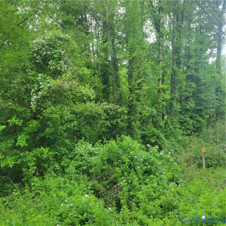 3136 Turner Road, Chesterfield, VA 23832 - #3