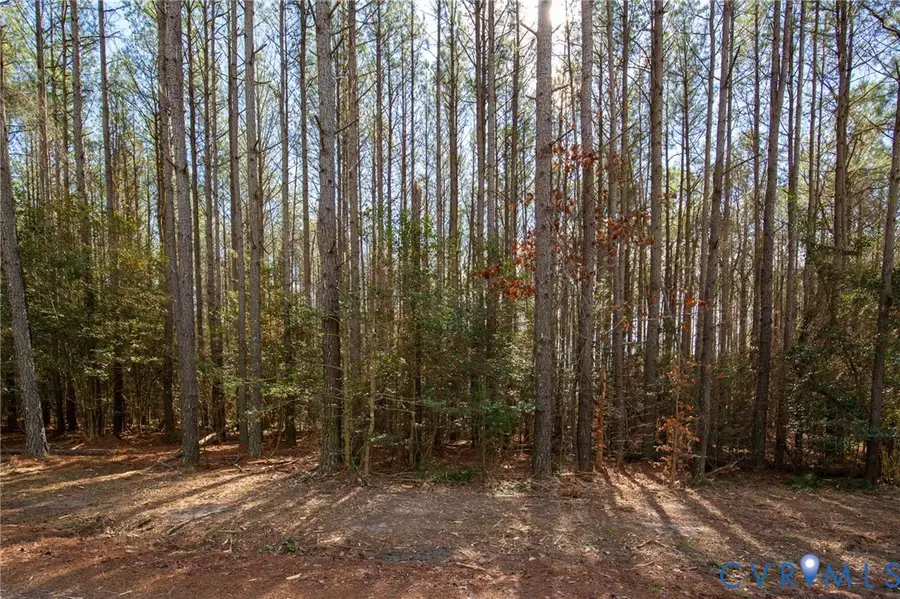 3195 Piney Slope Lane, Providence Forge, VA 23140 - #2