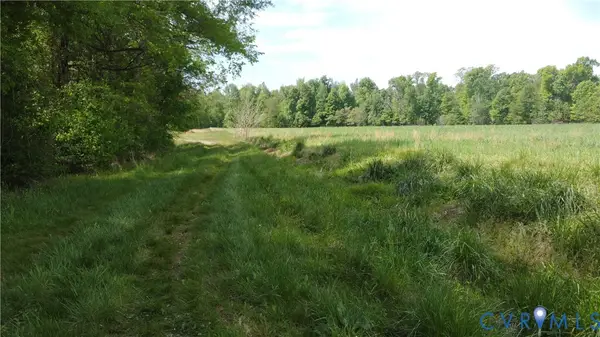 151 Acres Namozine Road, Amelia Courthouse, VA 23002
