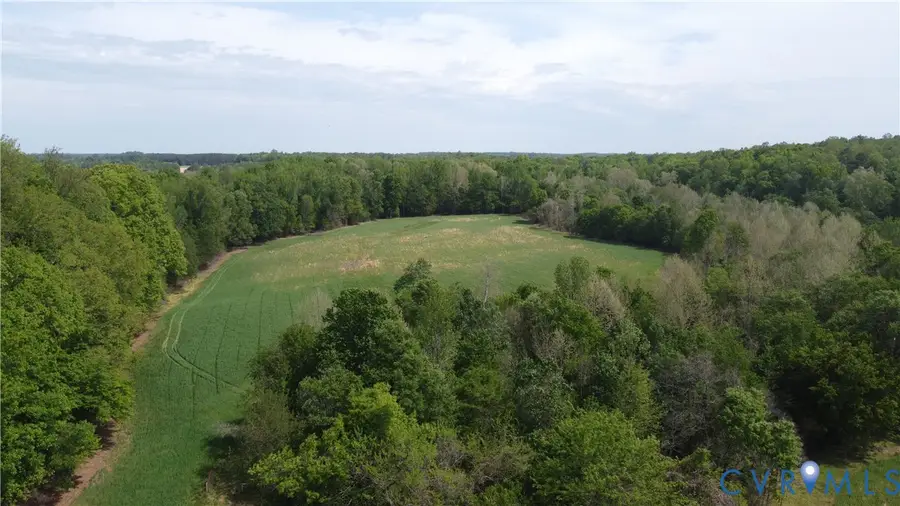 151 Acres Namozine Road, Amelia Court House, VA 23002 - #2