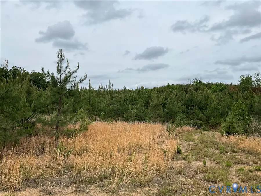 XX N James Madison Highway, Dillwyn, VA 23936 - #3