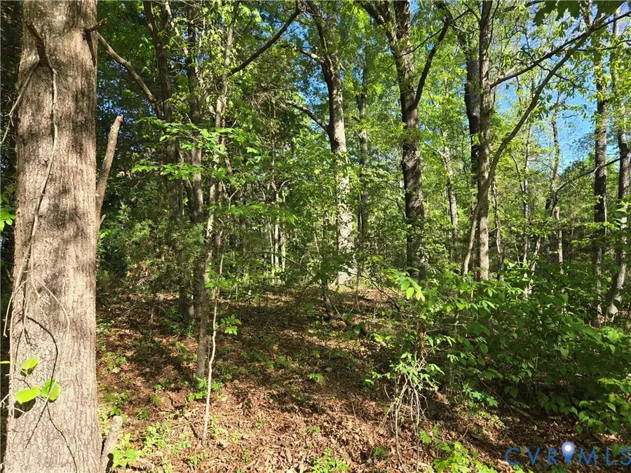 00 Hudson Street, Farmville, VA 23901 - #2