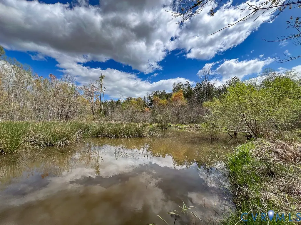 116.32 Acres Gilliam Mill Road, Dillwyn, VA 23936 - #1