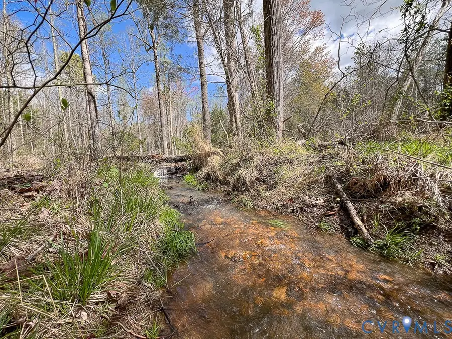 116.32 Acres Gilliam Mill Road, Dillwyn, VA 23936 - #3