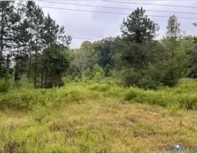 1 Rolfe Highway, Dendron, VA 23839