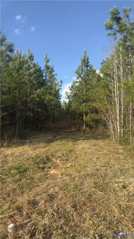 0 Loman Road, Meherrin, VA 23954 - #2