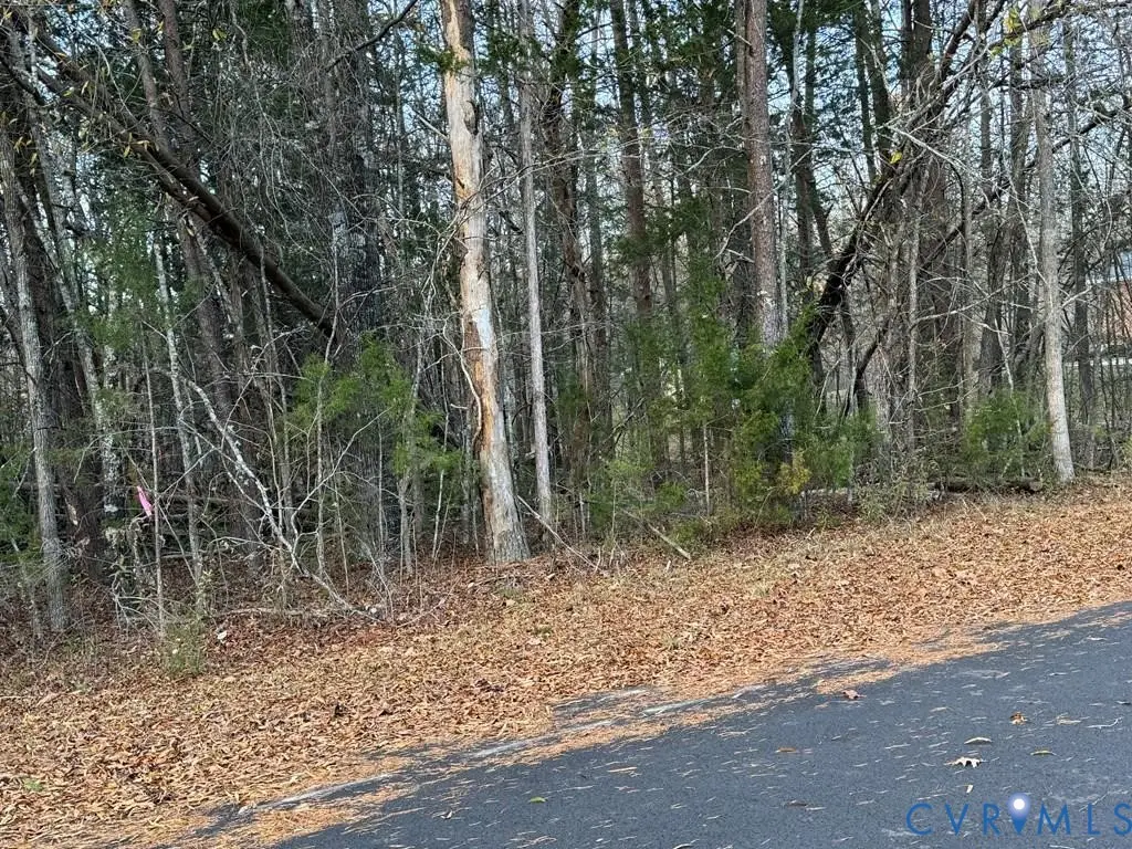 00 Creekwood Trail, Farmville, VA 23901 - #1