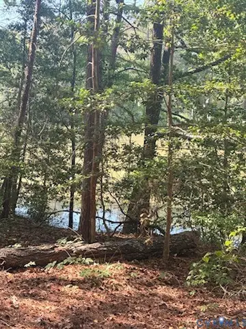 Lot 39 Sweetbriar Lane, Montross, VA 22520 - #1