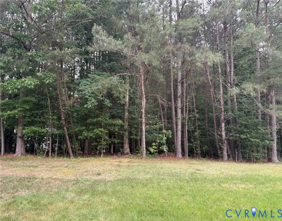 11131 Royal Lane, Providence Forge, VA 23140 - #1