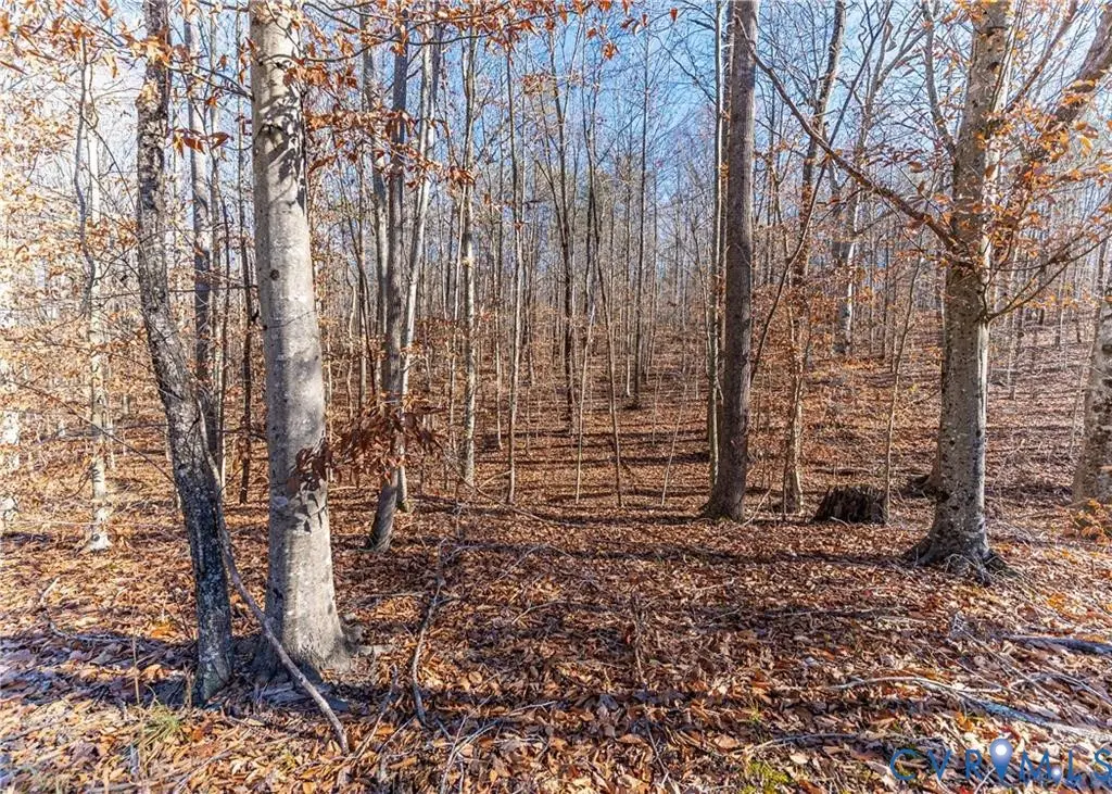03 Polebridge, Powhatan, VA 23139 - #1