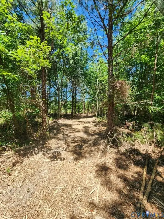 Lot 3 Deep Creek Road, Kents Store, VA 23084 - #1