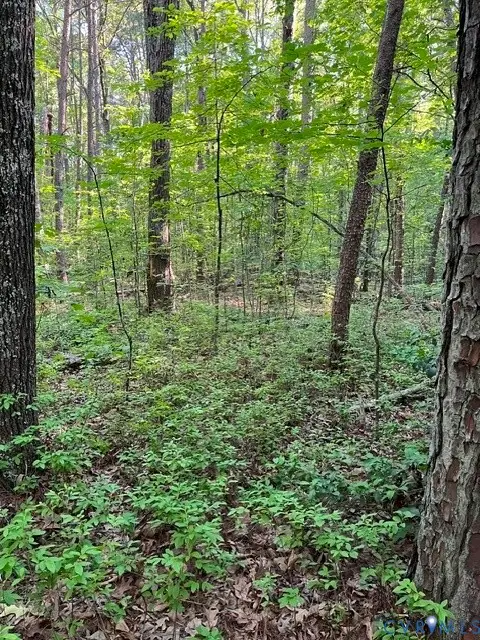 16117 W Patrick Henry Road, Montpelier, VA 23192 - #1