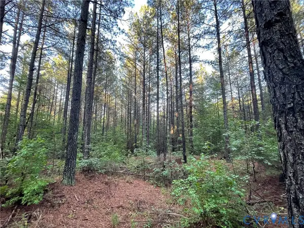 XX Reed Rock Road, Amelia, VA 23002