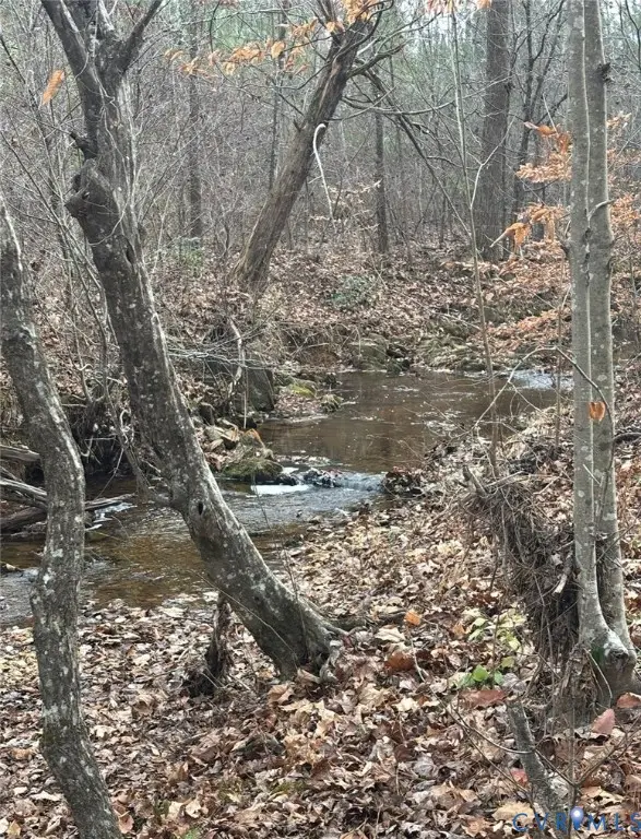 TBD Perkins Mill Road, Dillwyn, VA 23936