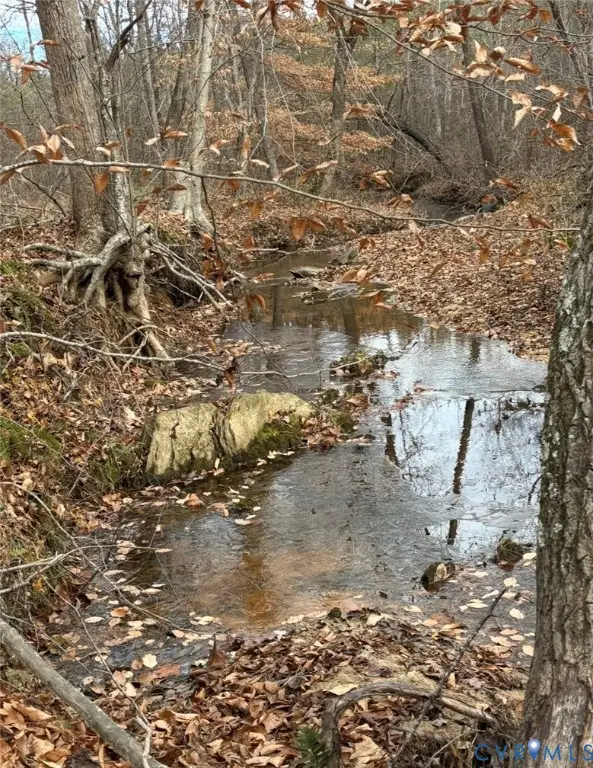 TBD Perkins Mill Road, Dillwyn, VA 23936 - #3