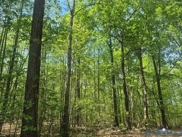 00 Deer Run, Cumberland, VA 23901