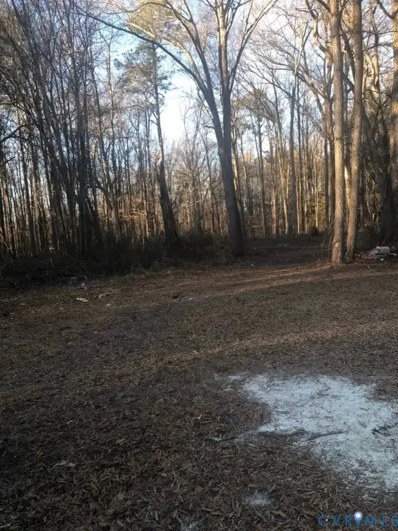 Lot 6 Old Cox Road, Blackstone, VA 23824 - #3
