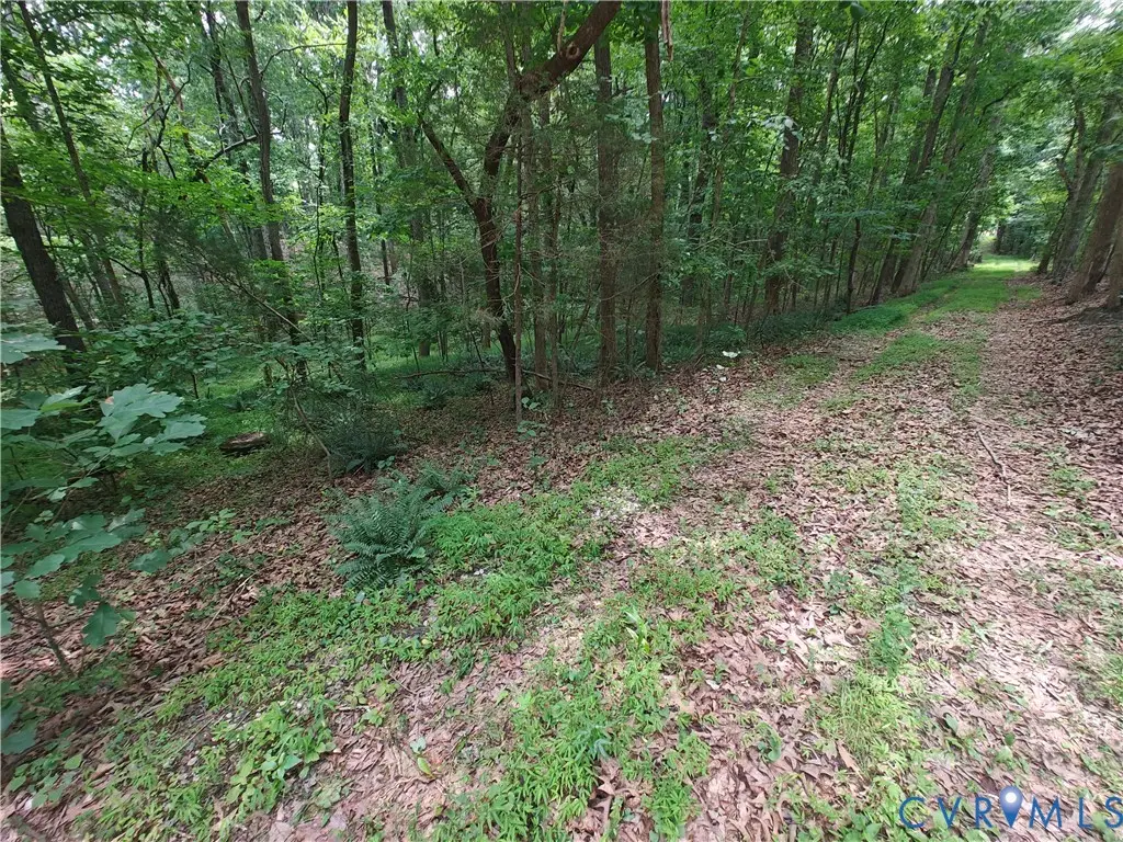0 Davenport Road, Cumberland, VA 23040 - #1