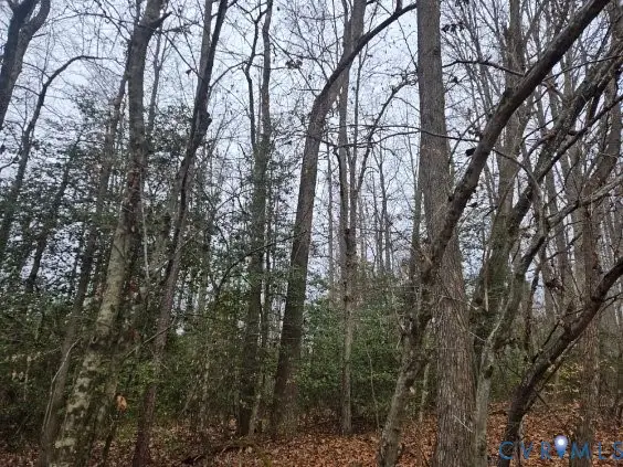 0 Tabscott Road, Kents Store, VA 23084
