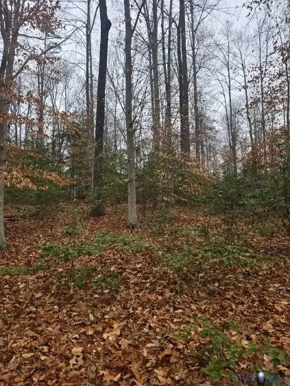0 Tabscott Road, Kents Store, VA 23084 - #3