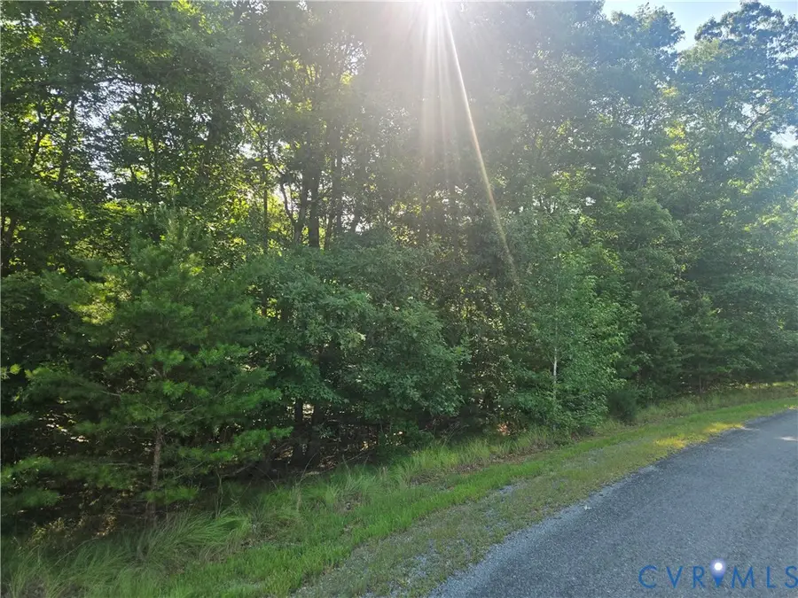 38 Bybee Estates Lane, Palmyra, VA 22963 - #3