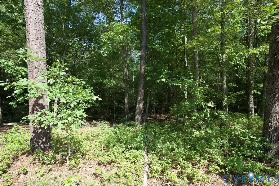 5901 Richland Road, Chesterfield, VA 23832 - #2