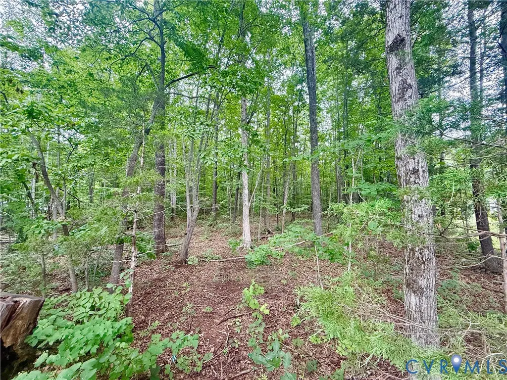 Lot 1 Forest Chapel Rd, Pamplin, VA 23958 - #1