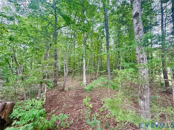 Lot 1 Forest Chapel Rd, Pamplin, VA 23958