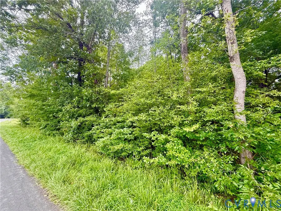 Lot 1 Forest Chapel Rd, Pamplin, VA 23958 - #3