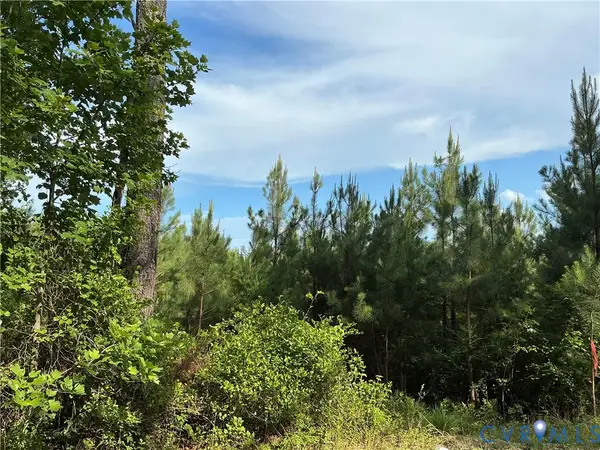 0 Fortune (48 Acres) Drive, Bowling Green, VA 22514