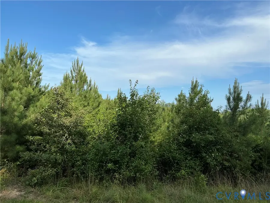 0 Fortune (48 Acres) Drive, Milford, VA 22514 - #2
