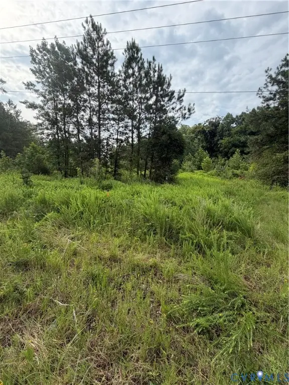 tbd lot 2 Rolfe Highway, Dendron, VA 23839