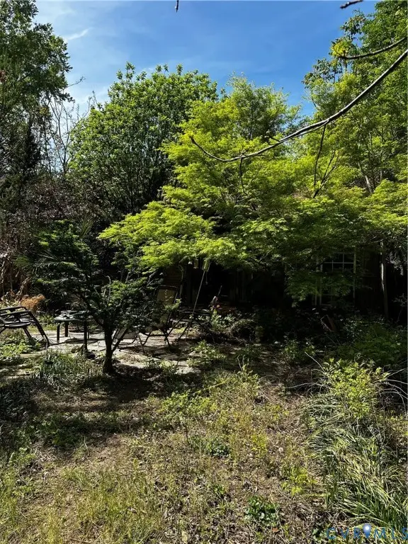 911 Herbert Street, Richmond, VA 23225 - #2